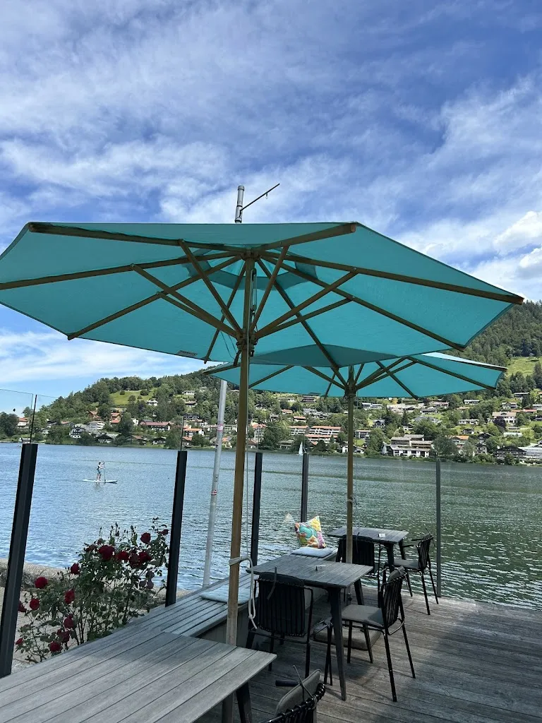 Haubentaucher_Rottach-Egern_slider_image_1