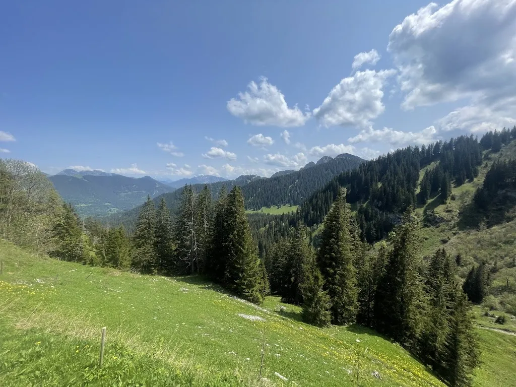 Nikolas Michaelides_Berghotel Altes Wallberghaus GmbH_Rottach-Egern_review