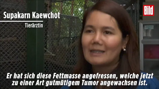 Hotel Maier zum Kirschner_Rottach-Egern_slider_image_2