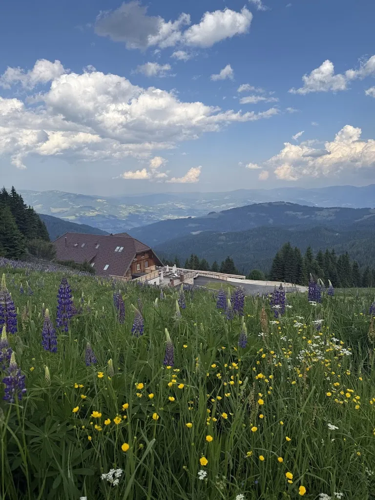 Hedda Salbu_MoselebauerAlm_Austria_review