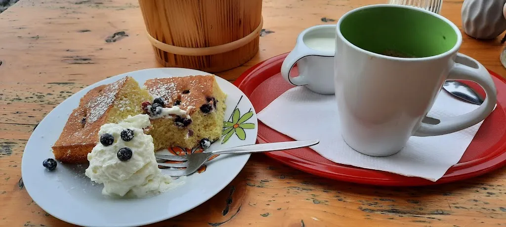 Menu_Söllberg Alm 1849_Austria_immagine_6