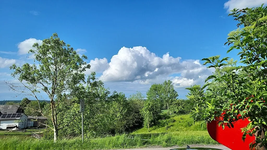 Biergarten Gaudium ristorante a Schillingsfürst