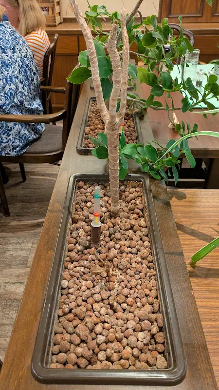 Heinz-Harry Hurtig_Bayerischer Hof Restaurant_Kissingen_recensione