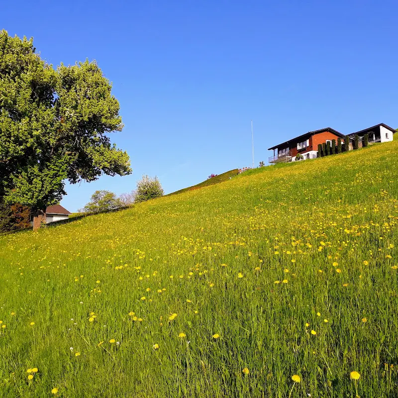 Gasthaus Schöntal_Hütten_slider_image_2