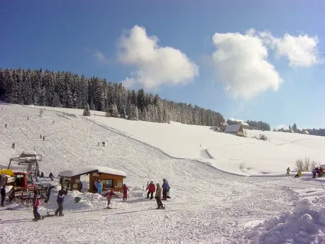 Hotel Schwarzwaldtanne_Schwarzwald_slider_image_3