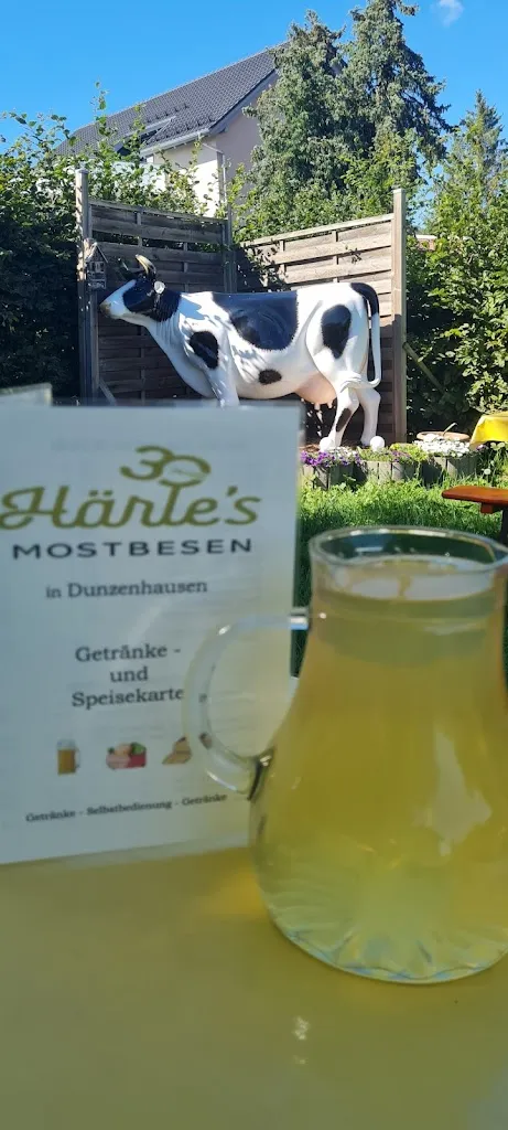 Menu_Härles Mostbesen_Schussenried_immagine_6