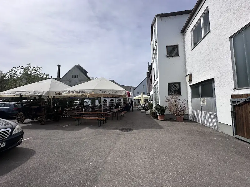 Margarita Illan_Zum Schimmelwirt_Schrobenhausen_review