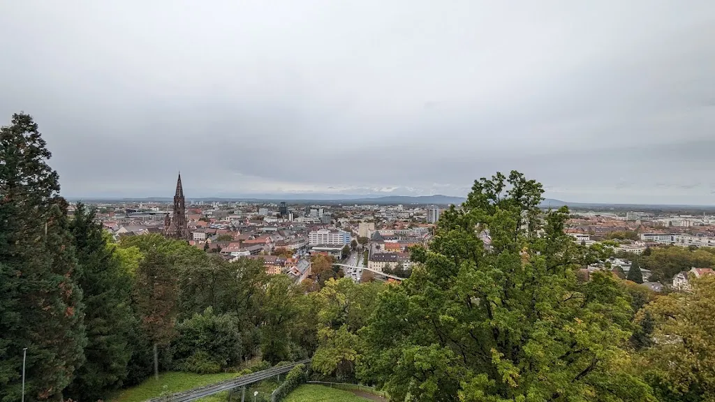 Cody_Dattler_Breisgau_review