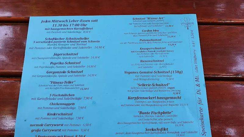 Menu_Gaststätte Döllinger_Schwabach_immagine_2