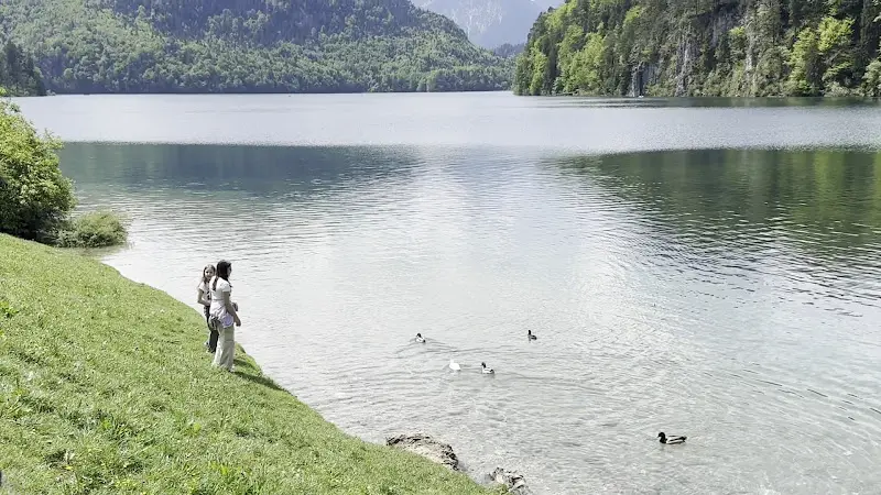 Alpenrose at the lake_Schwangau_slider_image_2