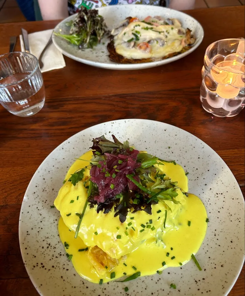 Bianca Ioana Truică_Das Kartoffelhaus_Breisgau_review