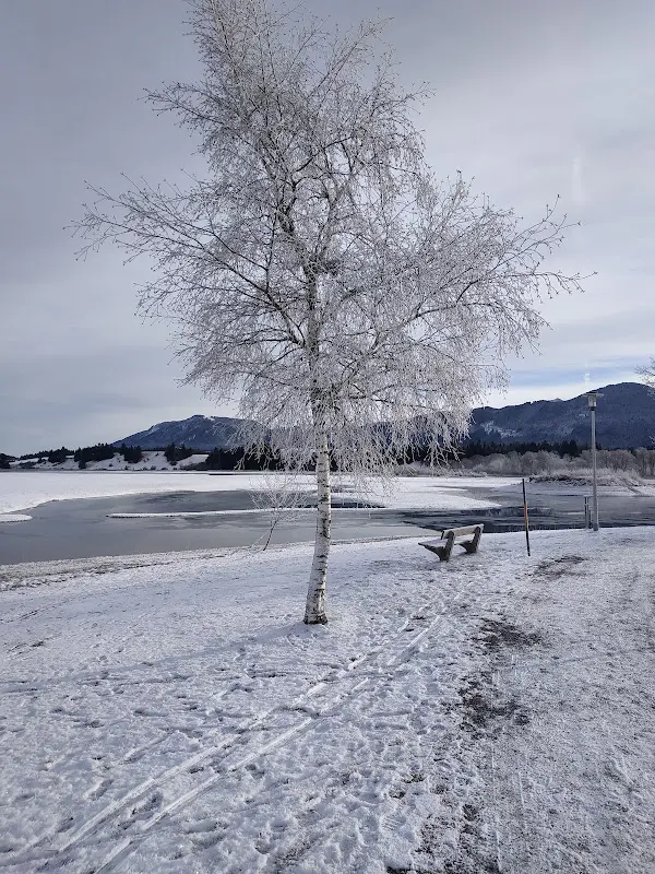 Oleh Yaruchyk_Gästehaus Seeklause - Schwangau_Schwangau_review