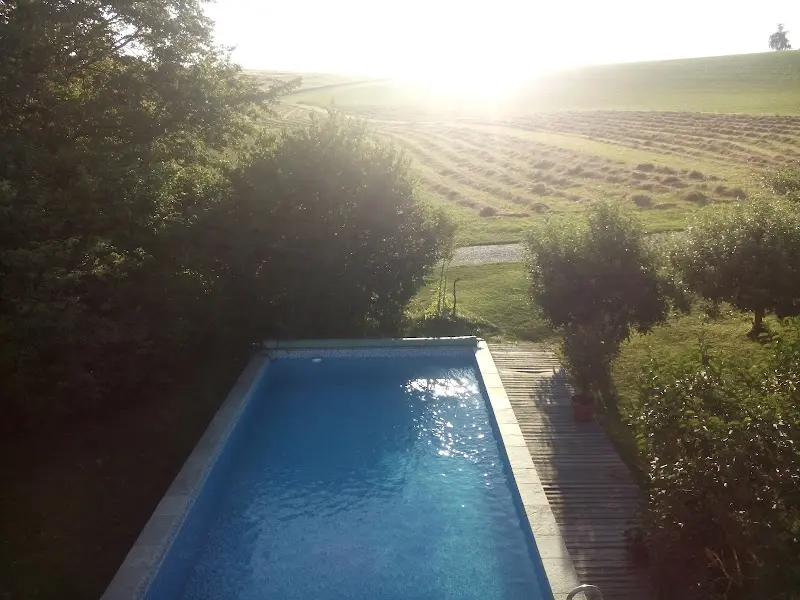 AmVieh-Theater_Schwindegg_slider_image_3