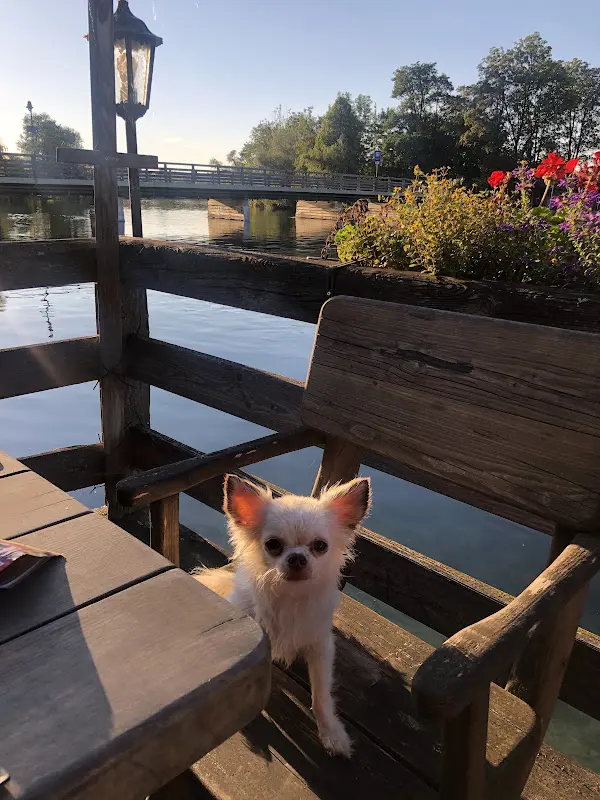 Gaststätte Neuwirt ristorante a Seeon-Seebruck