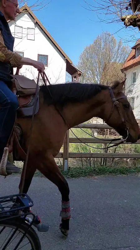 Gasthaus Linde_Sinsheim_slider_image_2