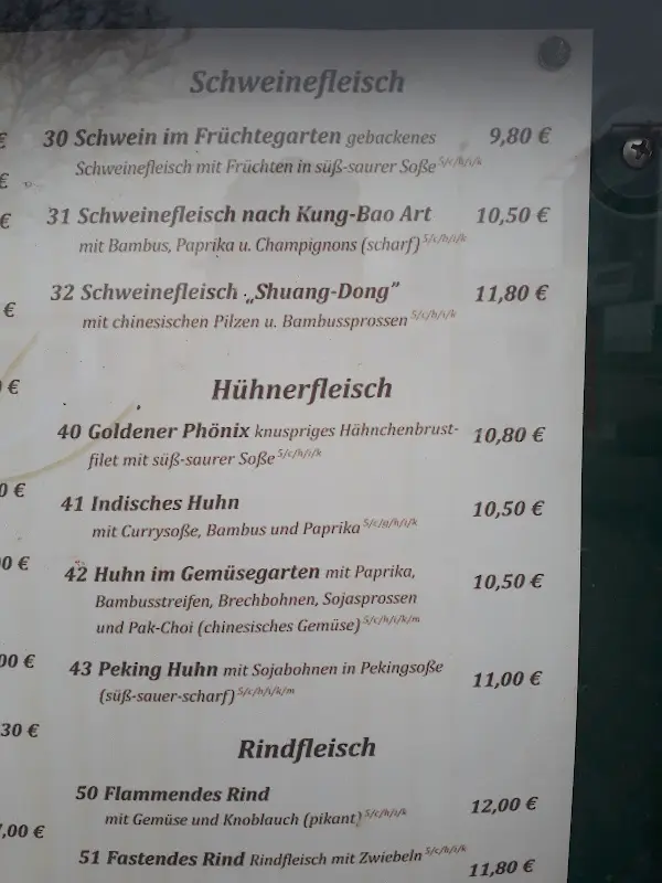 Menu_Asia City_Sinsheim_immagine_4
