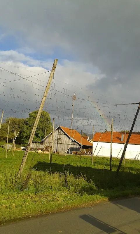 Gastwirtschaft Landendinger_Siegenburg_slider_image_3