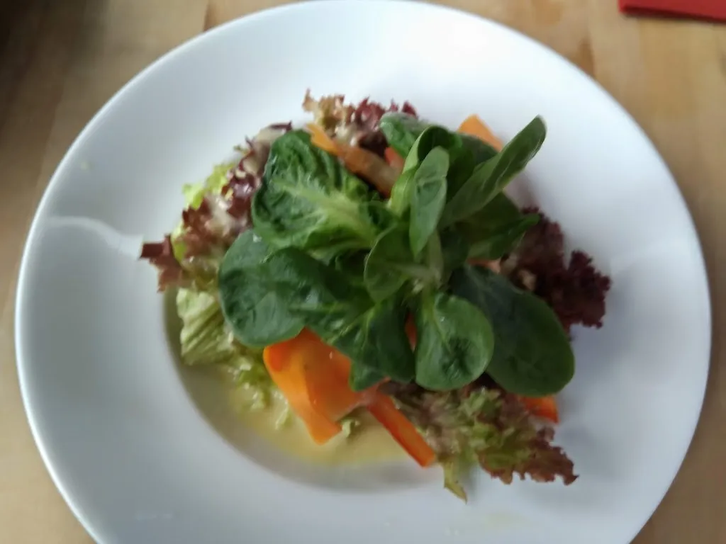 Menu_Restaurant Peja_Lörrach_image_6