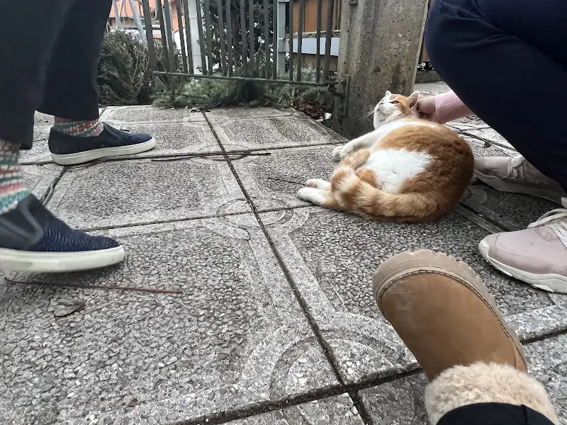 Eric B. Lin_Café Heutau_Siegsdorf_review