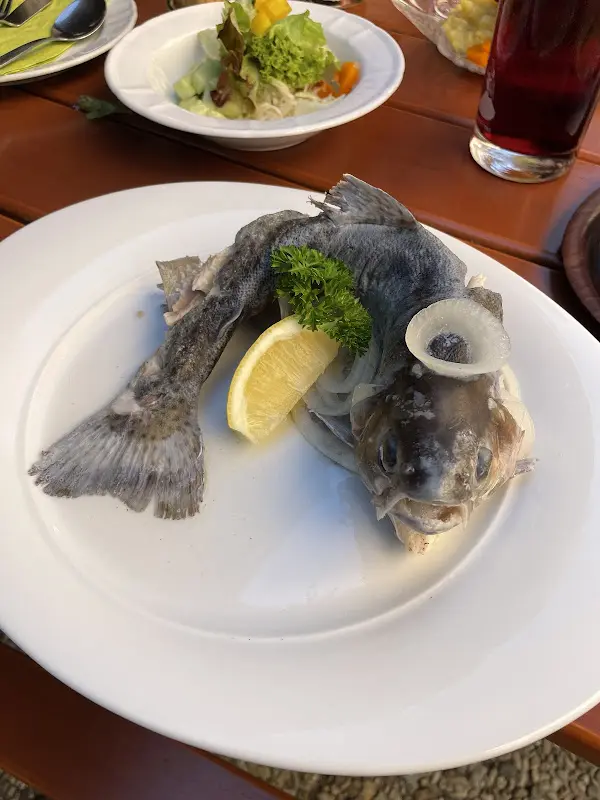 Manuel N._Zum Fichtenpark_Simmelsdorf_recensione