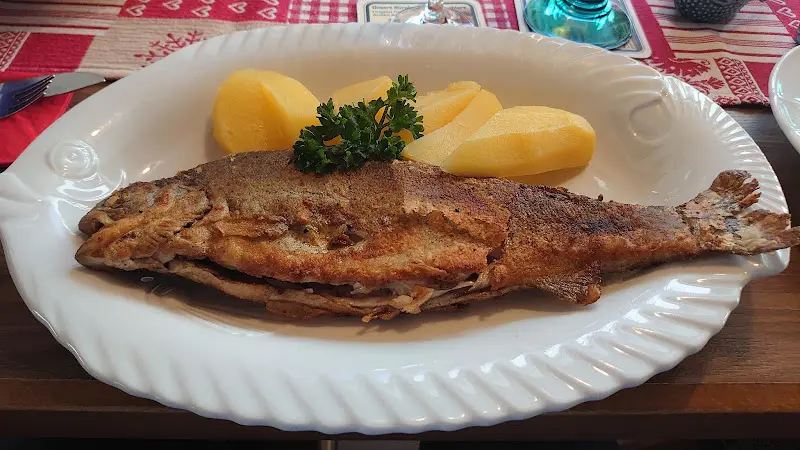 Monaco Ehl_Zum Fichtenpark_Simmelsdorf_recensione