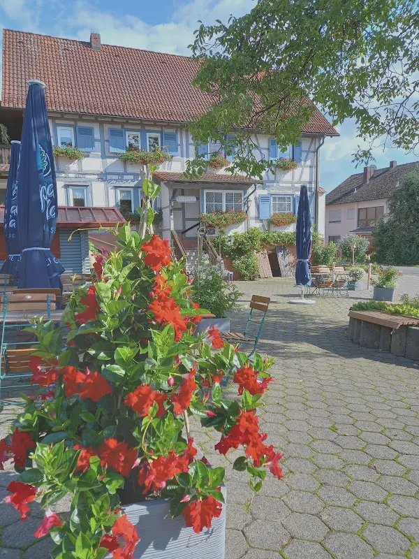 WALDESRUH hofgärtchen_Sommerkahl_slider_image_3