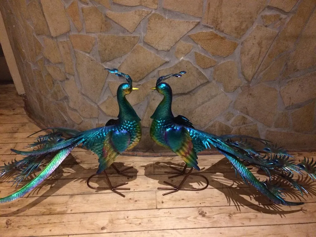 Luna S_Royal Panjab- Authentisches indisches Restaurant_Breisgau_recensione