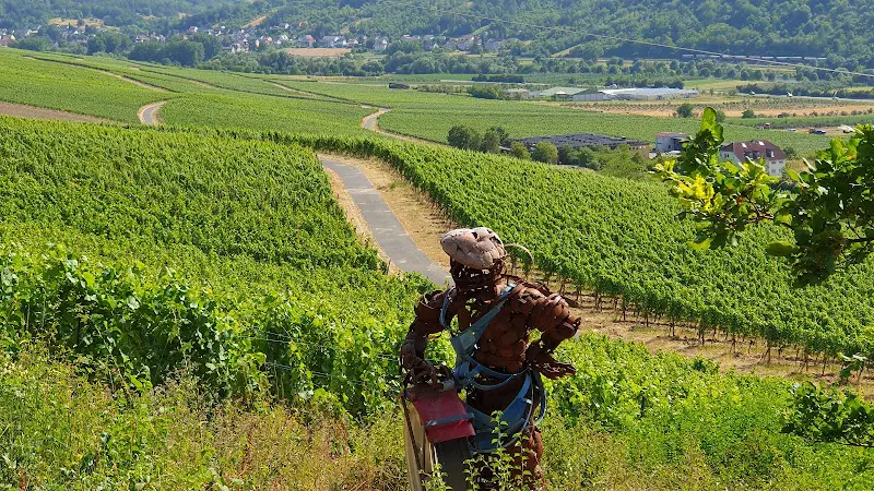 terroir f Sommerhausen - Wein und Kunst_Sommerhausen_slider_image_1