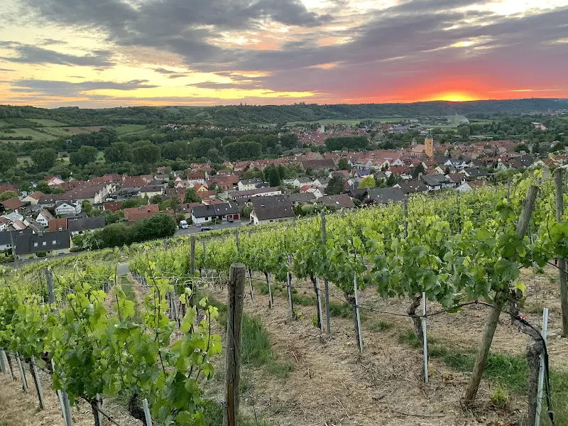 terroir f Sommerhausen - Wein und Kunst_Sommerhausen_slider_image_3