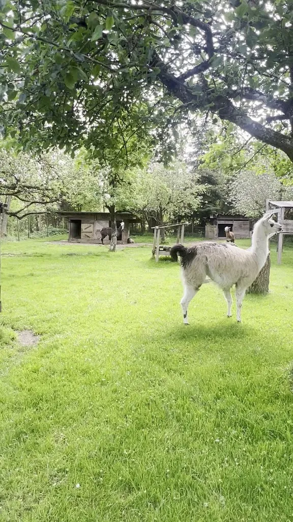 a a_D'r Löwen in Aitrach - Stoll-Pilger Gastronomie GbR_Aitrach_review