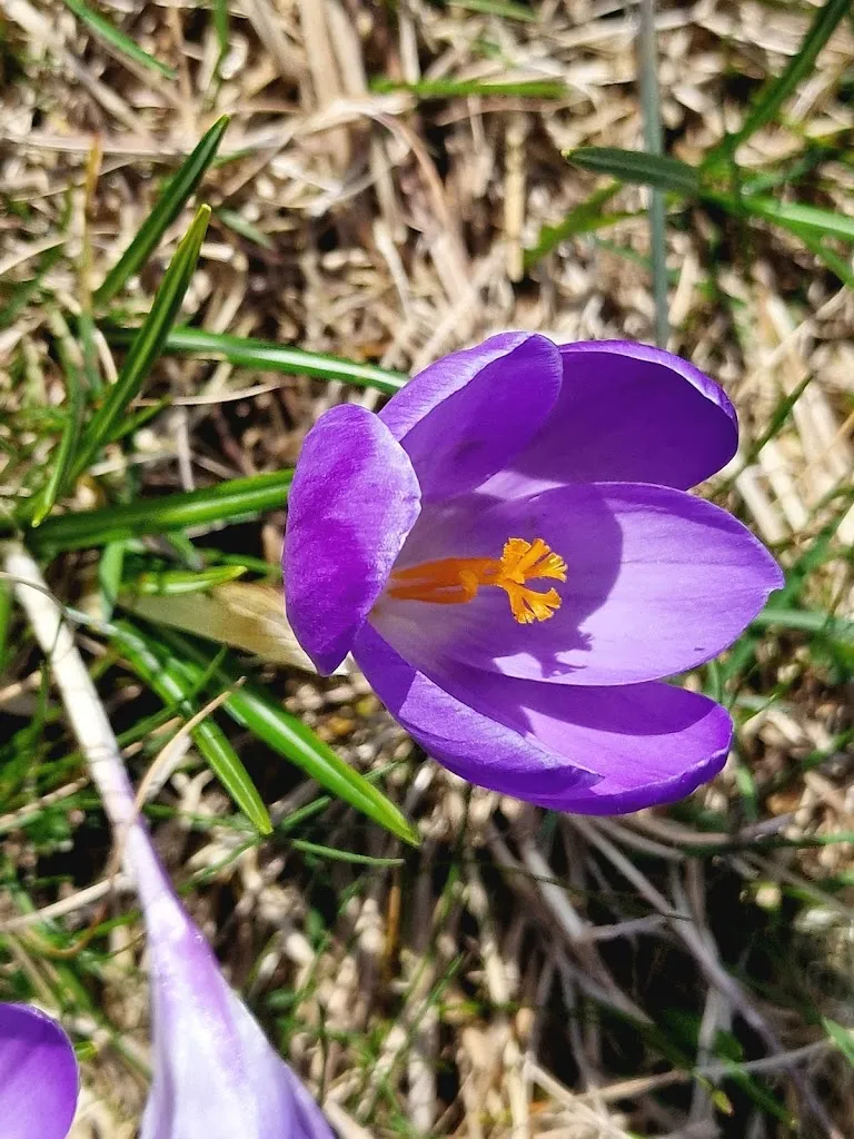 Rick Provart_Wanderheim Zavelstein_Teinach-Zavelstein_reseña