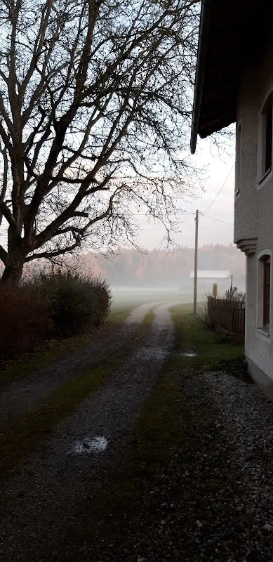 Esteban Zelaya_Gasthaus Brandmühle_Soyen_Bewertung