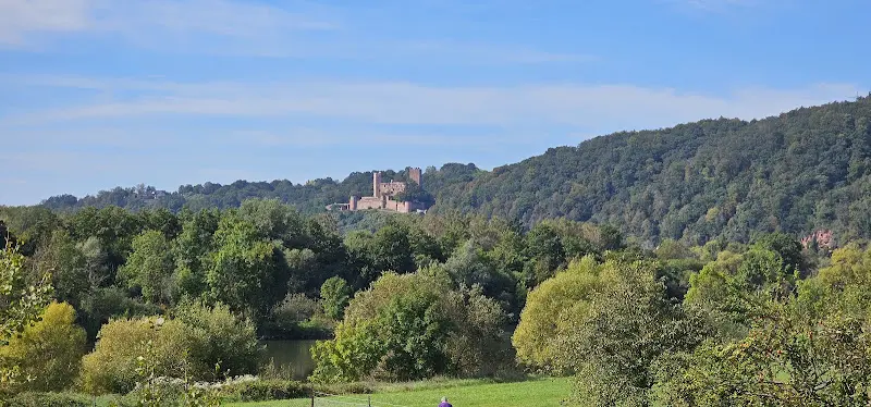 Adam Cunningham_Henneburg - Stadtprozelten_Stadtprozelten_review