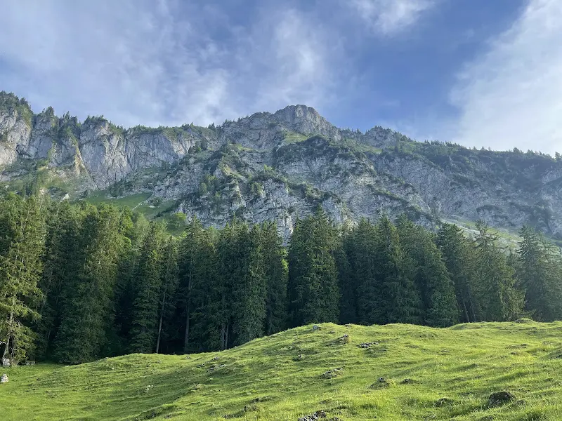 Staudacher Alm_Staudach-Egerndach_slider_image_3