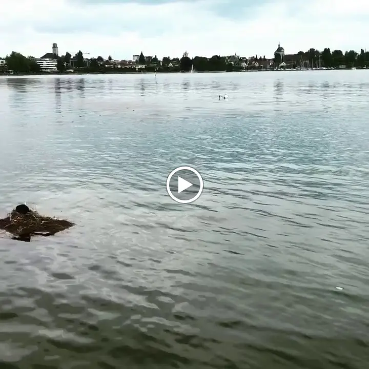 OSCIS FISCHBEIZ_Steinach_slider_image_2