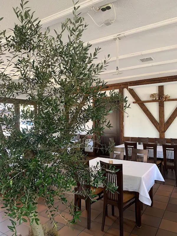 Mediterrana Palace restaurant in Stein