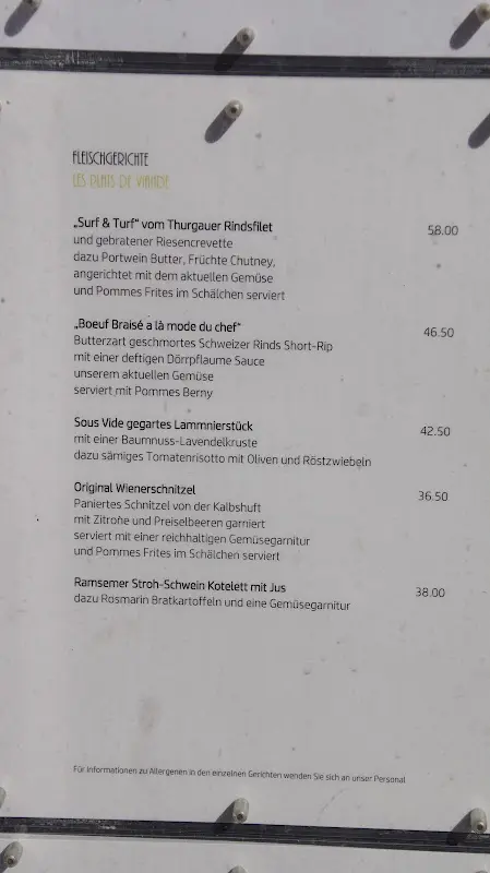 Menu_Burg Hohenklingen_Rhein_image_1