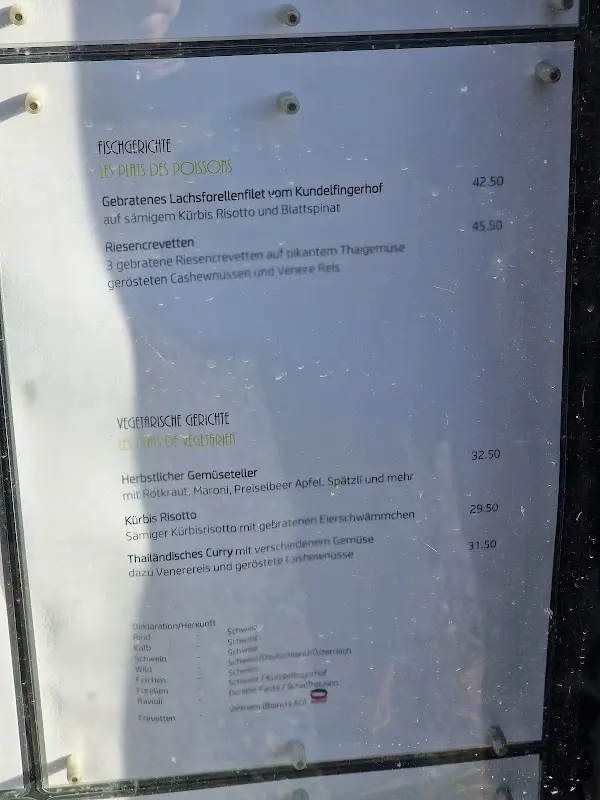 Menu_Burg Hohenklingen_Rhein_image_4