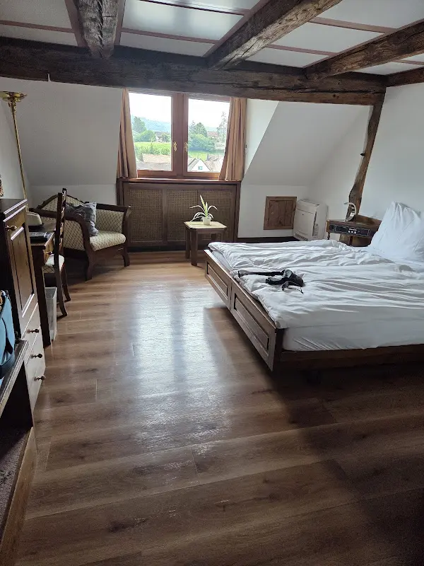 Kristel Spanjers_Hotel Restaurant Rheinfels_Rhein_review