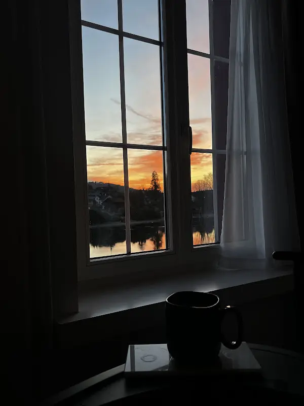 Hello Aline Bichara_Restaurant & Hotel Rheingerbe_Rhein_review