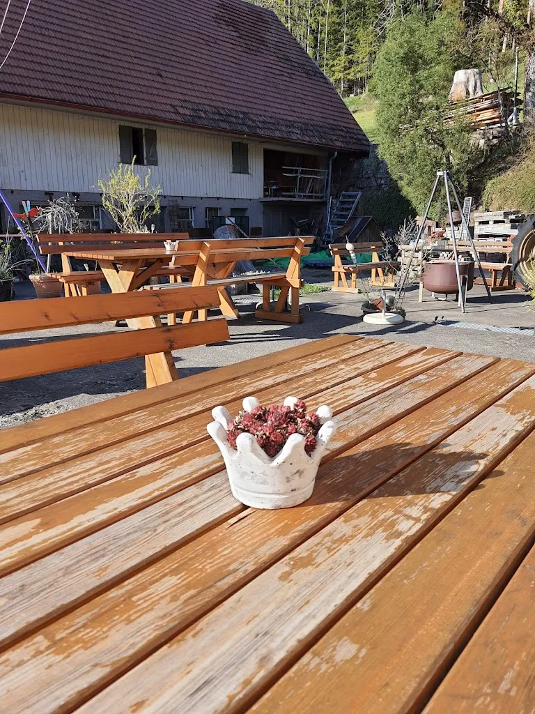 Kathrin Gebauer_Schwarzwaldstube - Eselbach_Aichhalden_review