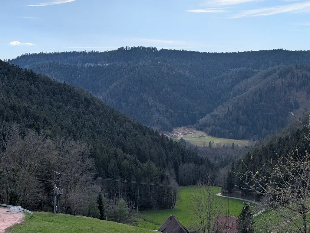 Schwarzwaldstube - Eselbach_Aichhalden_slider_image_3