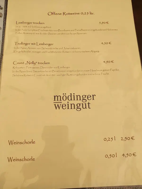 Menu_Gasthof Moser_Steingaden_immagine_4