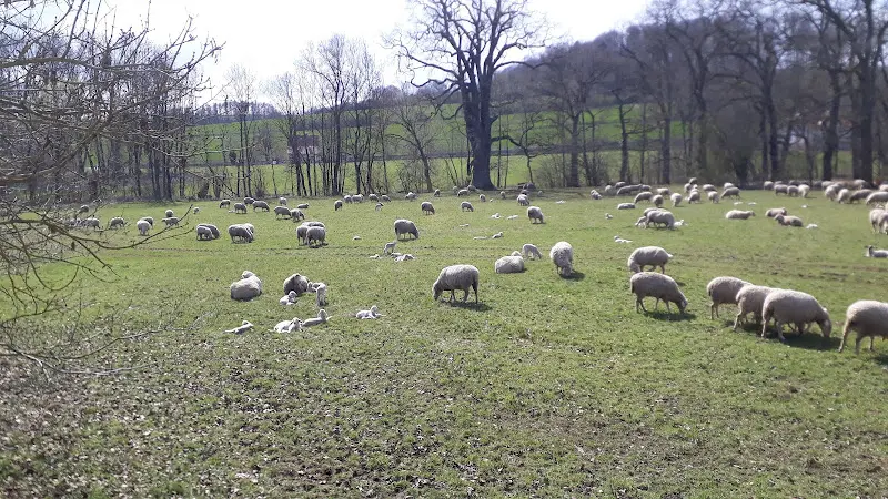 Gaststätte Müller_Steinheim_slider_image_2