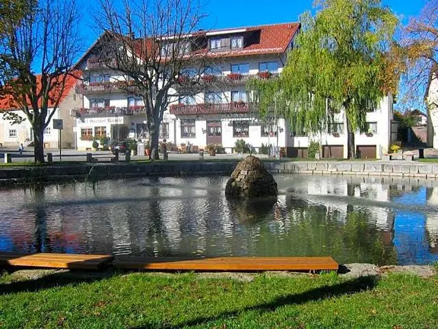 Hotel Gasthof Rössle Frohnstetten GmbH restaurant in Markt