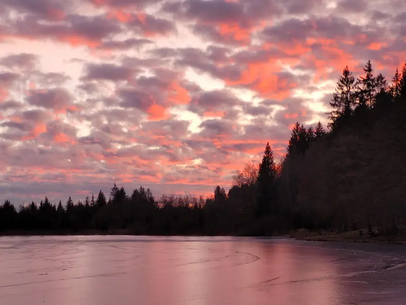 Marcelo_Waldhaus Deininger Weiher_Straßlach-Dingharting_review