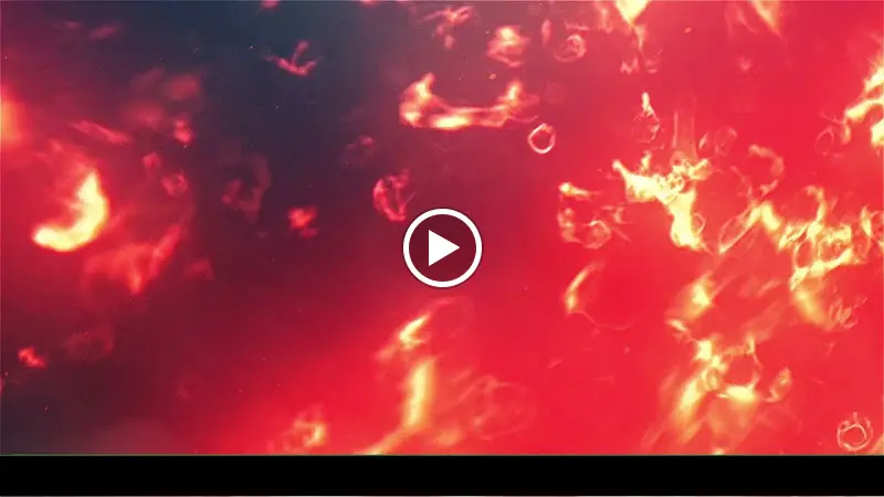 Grace Pizza, Pasta & Döner_Straßkirchen_slider_image_2