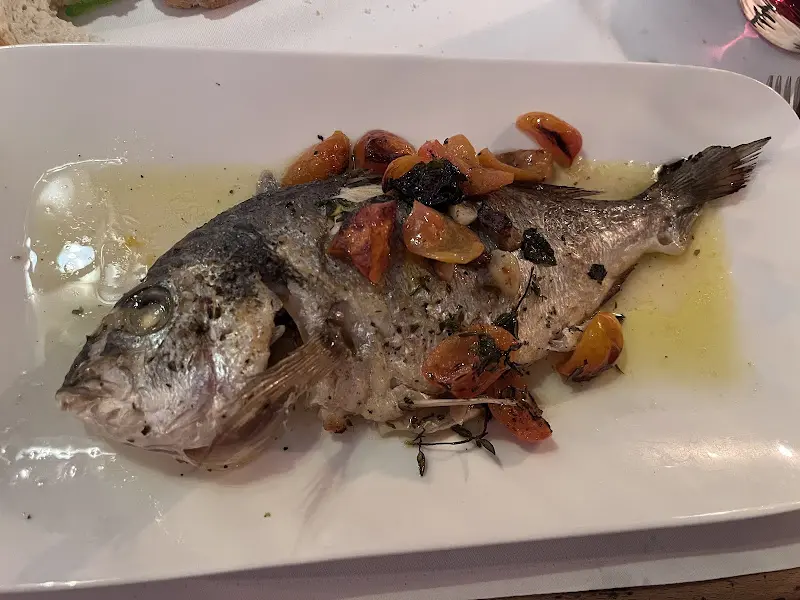 Adler Looks Jorge_Ristorante 