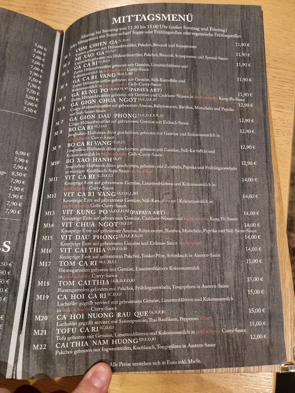 Menu_Cochin Vietnamese Dining & Barbeque_Rosenheim_immagine_4