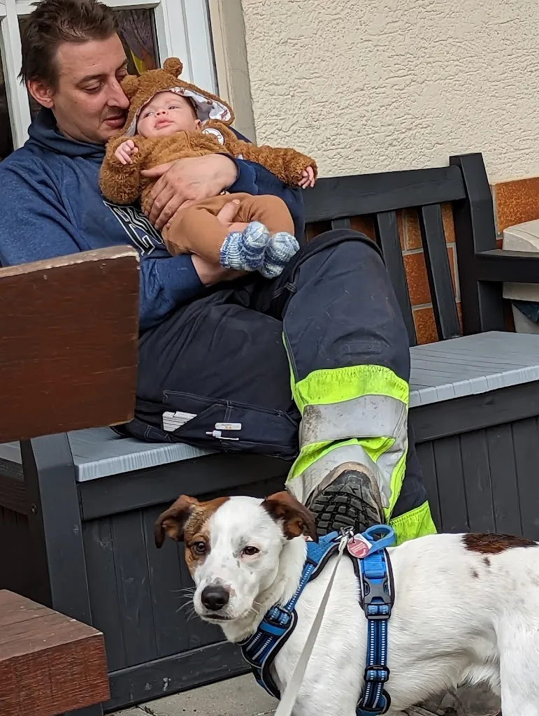 Undine Gessner_Schwabs Country Inn_Rappenau_recensione